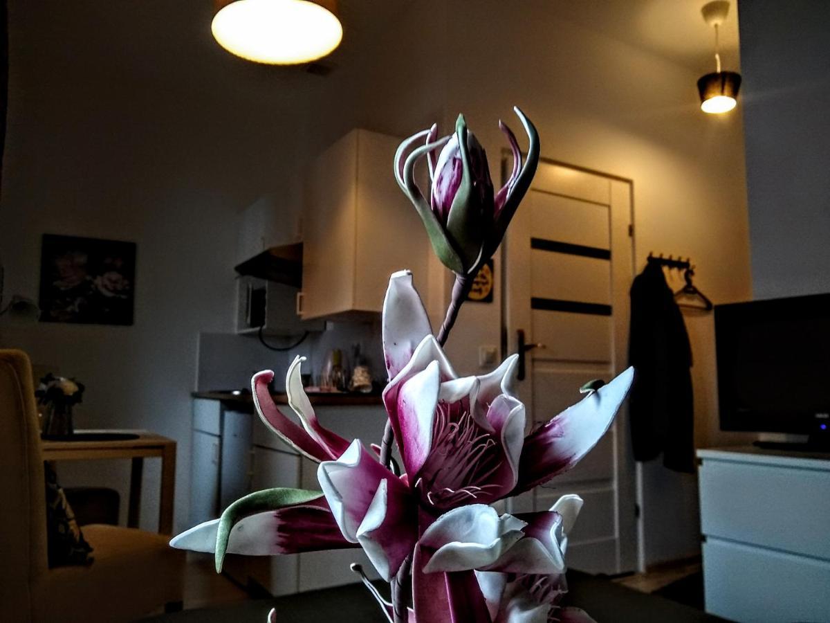 Butikevita Spodek By Walk Apartment Katowice Bagian luar foto