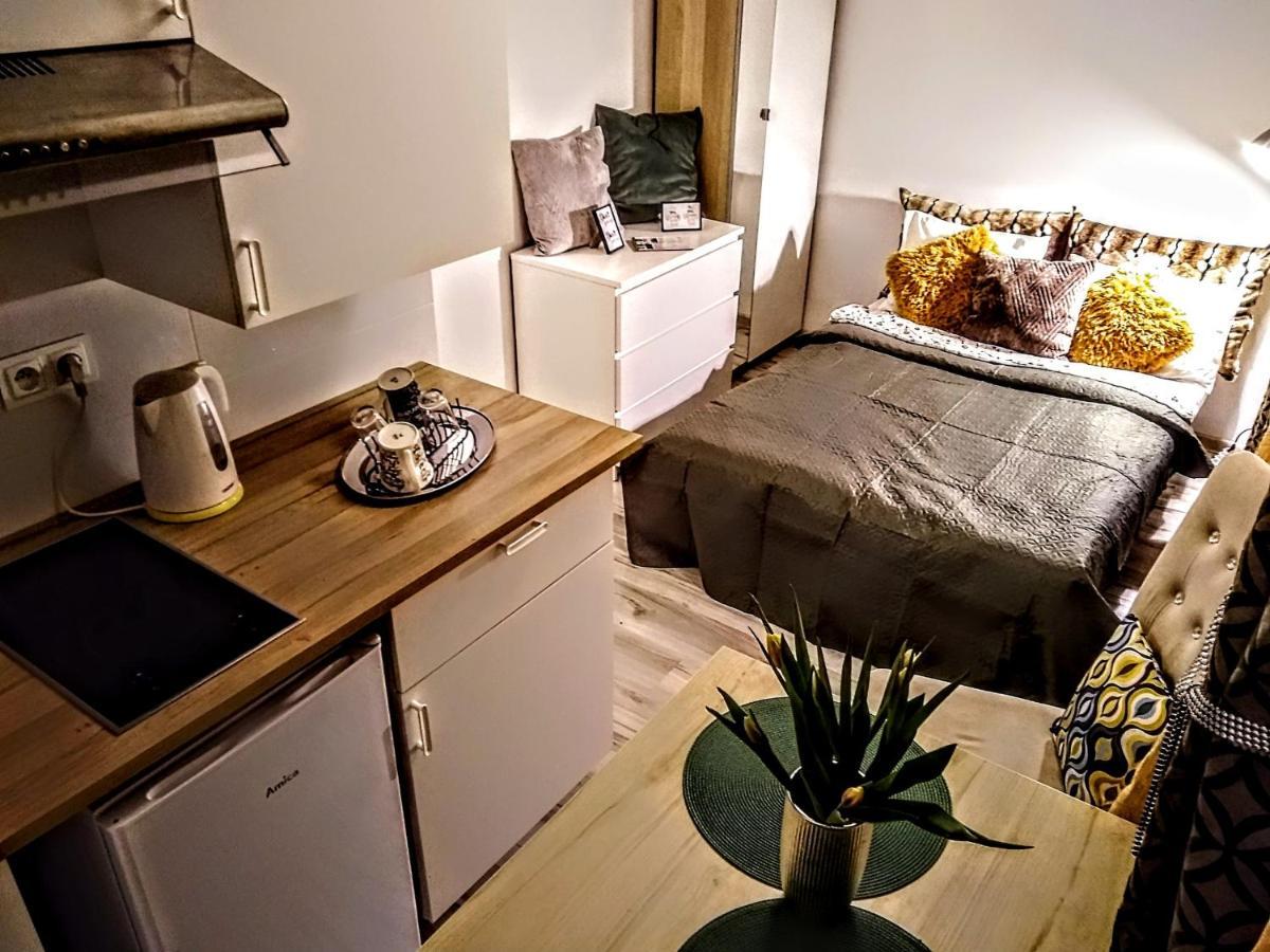 Butikevita Spodek By Walk Apartment Katowice Bagian luar foto