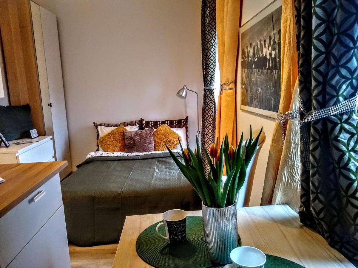 Butikevita Spodek By Walk Apartment Katowice Bagian luar foto