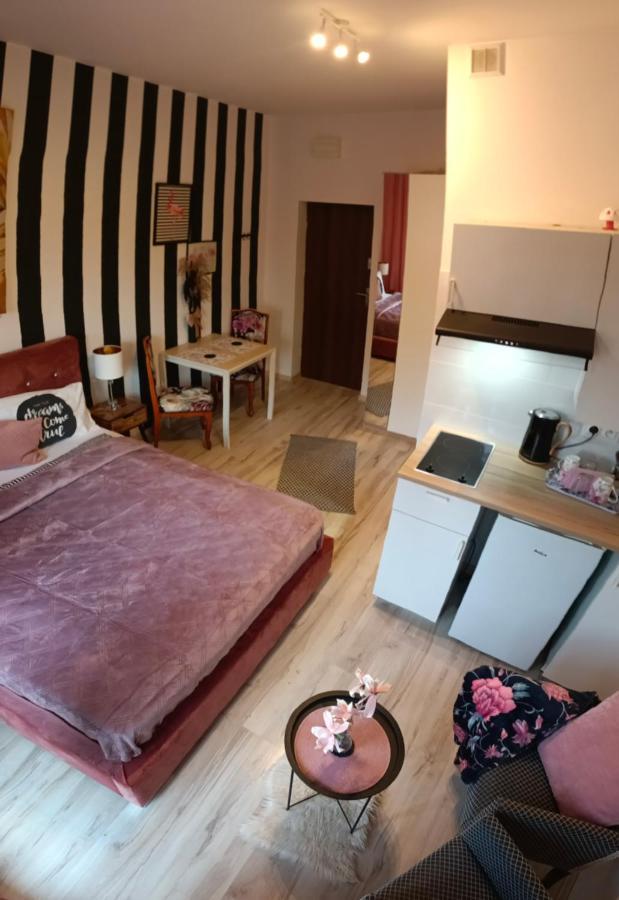 Butikevita Spodek By Walk Apartment Katowice Bagian luar foto